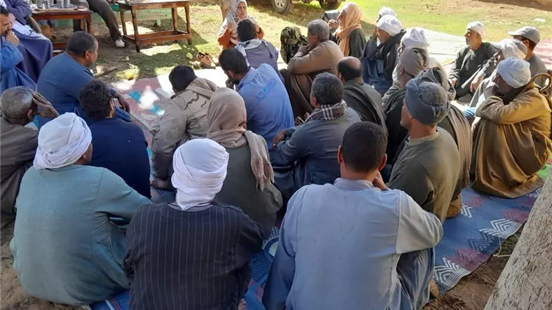 انطلاق المدارس الحقلية والدعم الفني لمبادرة «ازرع» لزيادة إنتاجية القمح