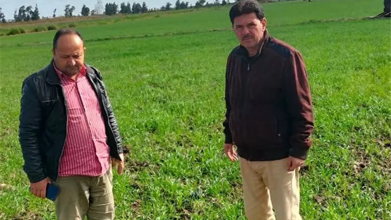 وكيل وزارة الزراعة بكفرالشيخ يتابع المحاصيل الشتوية بإدارة بلطيم 