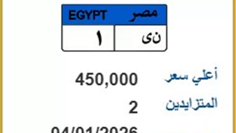 بين متنافسين اثنين فقط.. لوحة «ن ى 1» تقترب من نصف مليون