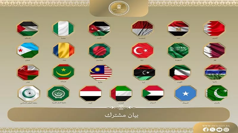 إسماعيل تركي: البيان العربي المشترك يفضح الكارثة الإنسانية في غزة| فيديو