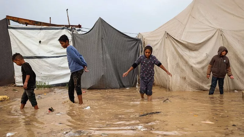 أمجد الشوا: 900 ألف نازح يعيشون داخل خيام مهترئة بغزة| فيديو