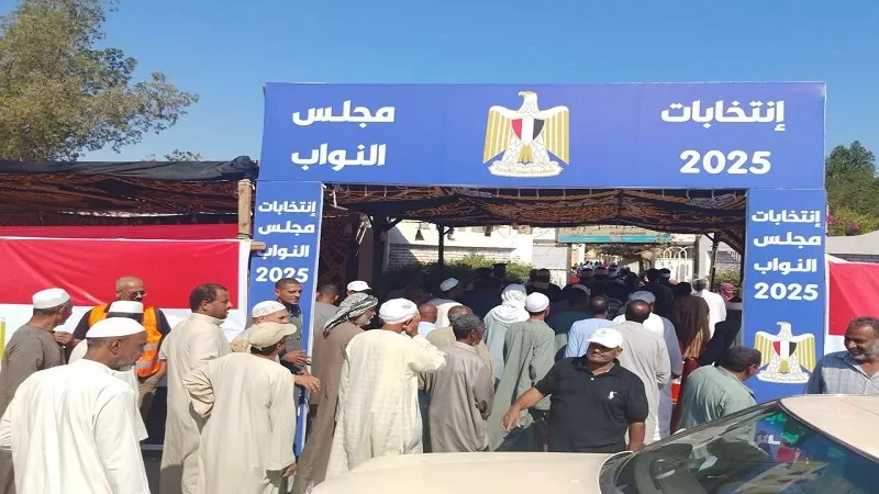 «نواب 2025».. محمد ممدوح: الانتخابات المحسومة مسبقا فكرة ليست صحيحة| فيديو