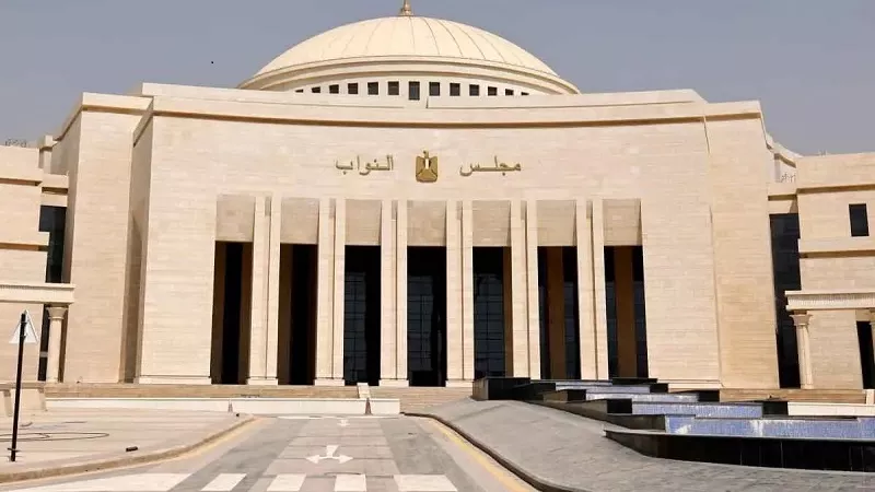 خبير قانوني: البرلمان القادم يعزز المسار الدستوري لمصر| فيديو