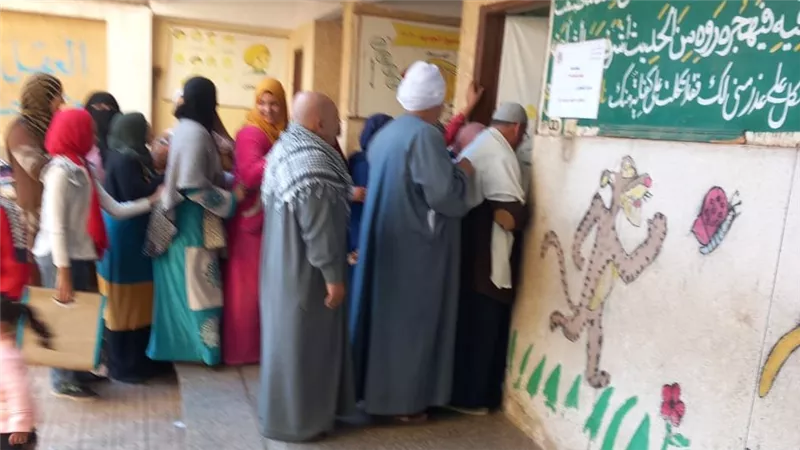 كبار السن والسيدات يتصدرون المشهد داخل 5 دوائر «ملغاة» بانتخابات المنيا