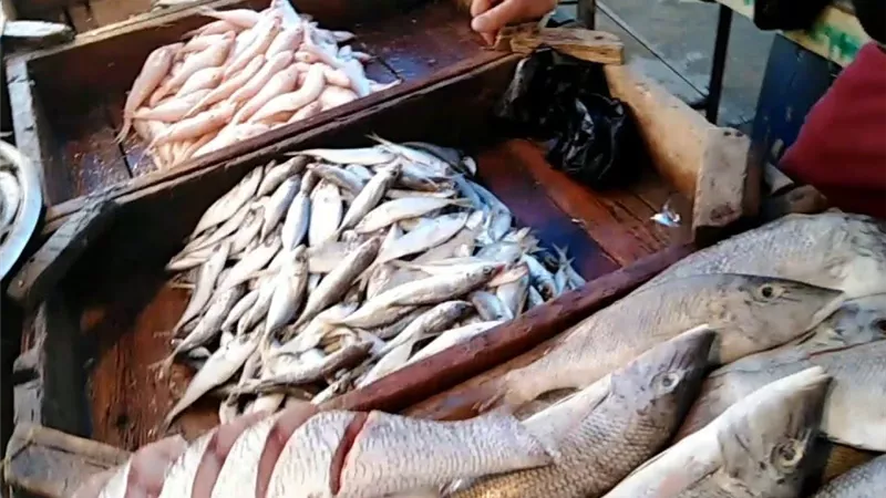 استقرار أسعار الأسماك في سوق العبور اليوم الأحد 