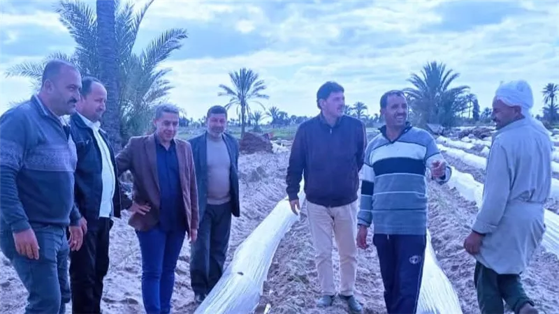 وكيل وزارة الزراعة بكفر الشيخ يتفقد الزراعات بقرى بلطيم