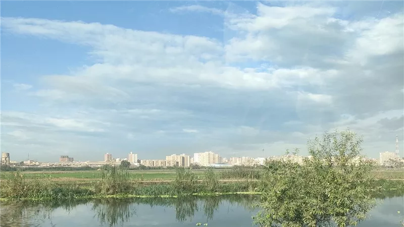 طقس البحيرة.. شبورة كثيفة وانخفاض في درجات الحرارة