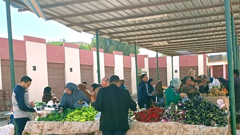 الطماطم بـ10 جنيهات والسمك بـ25 جنيها في منافذ الوادي الجديد
