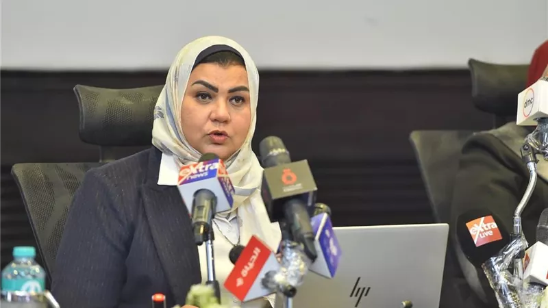 مصر تبدأ تحقيقًا وقائيًا ضد واردات الصاج لضمان حماية الصناعة المحلية
