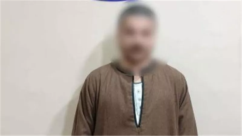 «بيحرض الناخبين».. ضبط مندوب دعاية في منشأة القناطر