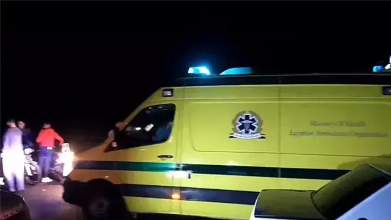 إصابة 7 أشخاص في انقلاب ميكروباص بطريق 