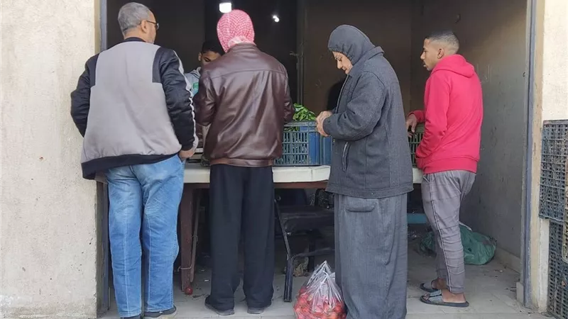 اللحوم بـ300 جنيه.. منافذ لطرح خضر وفاكهة مخفضة بالوادي الجديد
