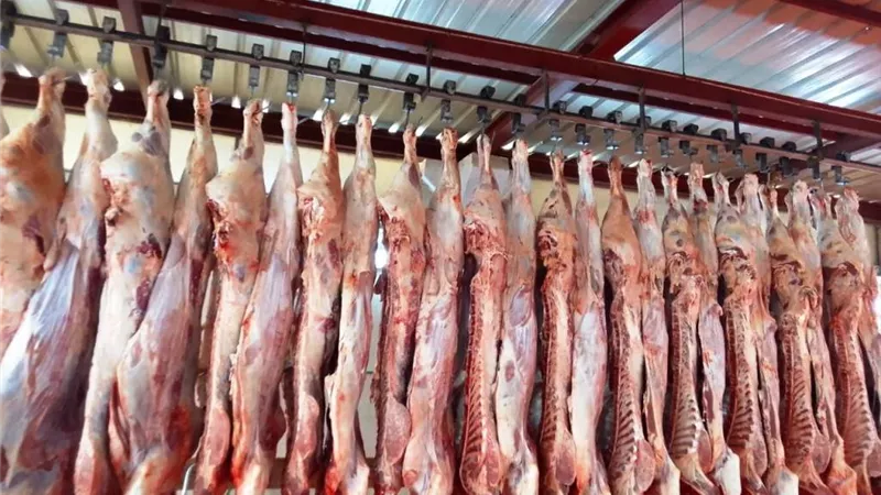  11 حملة تفتيشية على مجازر الدواجن واللحوم في المحافظات خلال أسبوع