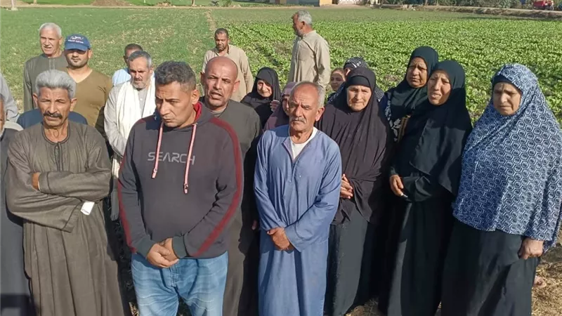 مزارعو أوقاف كفر الشيخ يستغيثون: زيادات الإيجار جزافية تهدد الأمن الغذائي