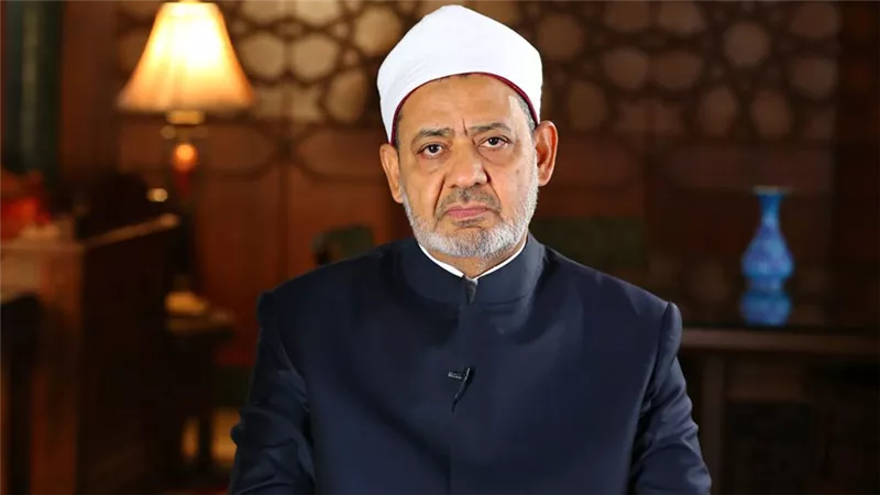 أزهري: وثيقة الأخوة الإنسانية دستور لإنقاذ البشرية من شبح الحروب|فيديو