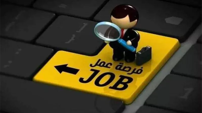 كيف تحصل على وظيفة في 2026؟.. سوق عمل شديد التنافس مع بداية العام الجديد