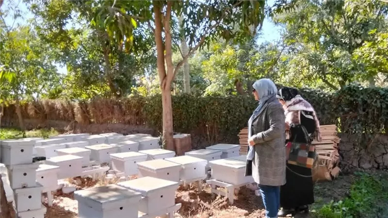 رئيس مدينة إبشواي بالفيوم تشهد دورة «فتيات النحل» لتمكين السيدات اقتصاديا