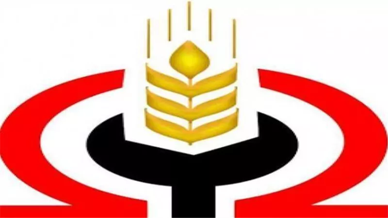 التحقيق في المخالفات الانتخابية.. 3 مطالب للمكتب السياسي لـ«حزب التجمع»