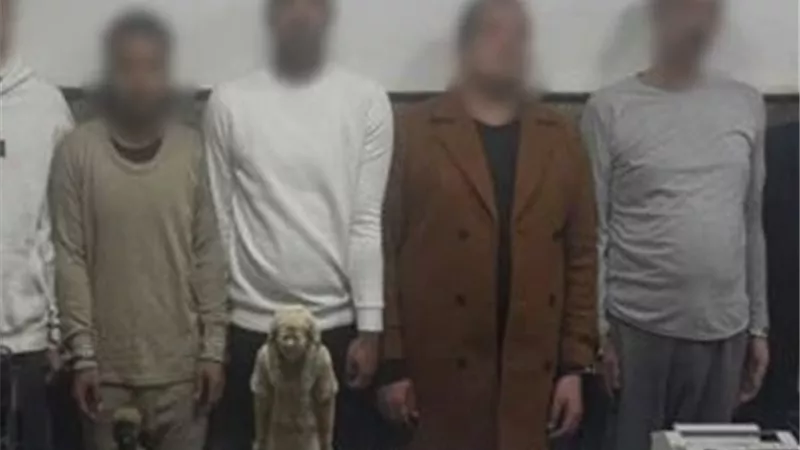 هل هي آثار حقيقية؟.. فحص تماثيل بحوزة 8 متهمين في فيلا بالشيخ زايد