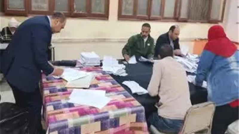 الحصر العددي بالدائرة الرابعة بجولة إعادة انتخابات النواب بالمنيا