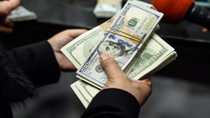وليد جاب الله: تطور ملحوظ في تحويلات المصريين بالخارج مع بداية 2026|فيديو