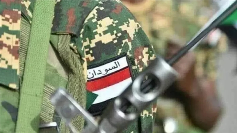 «ضربة في مقتل».. الجيش السوداني يسقط مسيرات للدعم السريع في مروي| فيديو