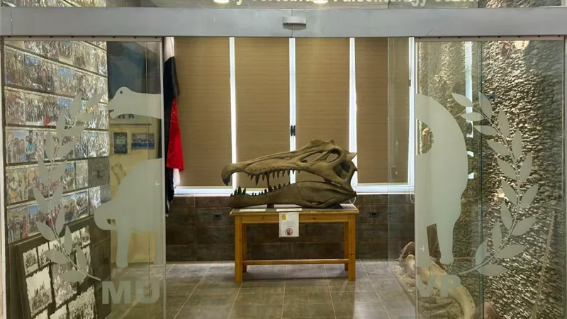 مركز الحفريات الفقارية بجامعة المنصورة يحقق إنجازات أكاديمية وبحثية نوعية