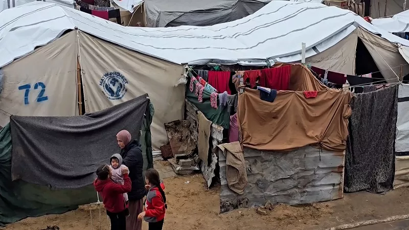 صلاح عبد العاطي: 1.6 مليون نازح يفتقدون مستلزمات الحياة في غزة|فيديو