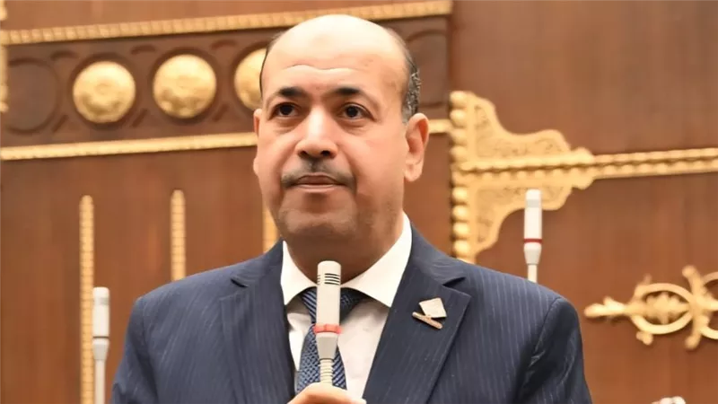 أحمد سيد يقترح إعفاء السكن الخاص بالكامل من الضريبة العقارية
