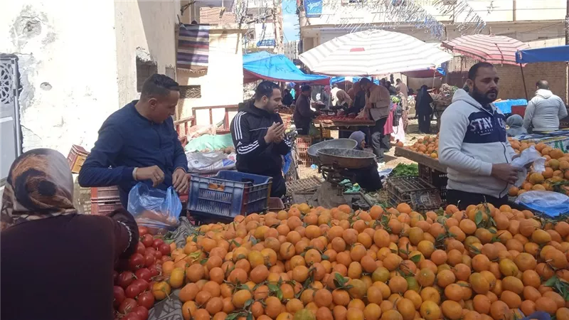 أسعار الخضراوات والفاكهة اليوم الثلاثاء في محافظة كفر الشيخ