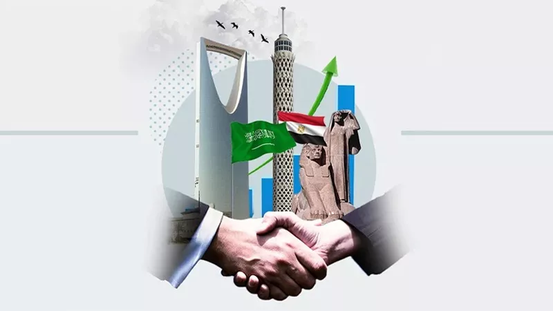 البرديسي: تنسيق مصري - سعودي يحمي الأمن العربي والحقوق الفلسطينية|فيديو