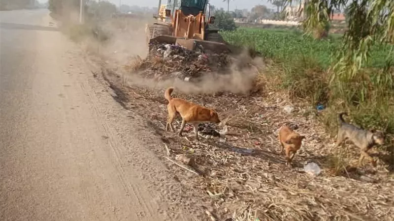 رفع كفاءة الطرق والميادين ضمن خطة تحسين الخدمات بمركز ناصر