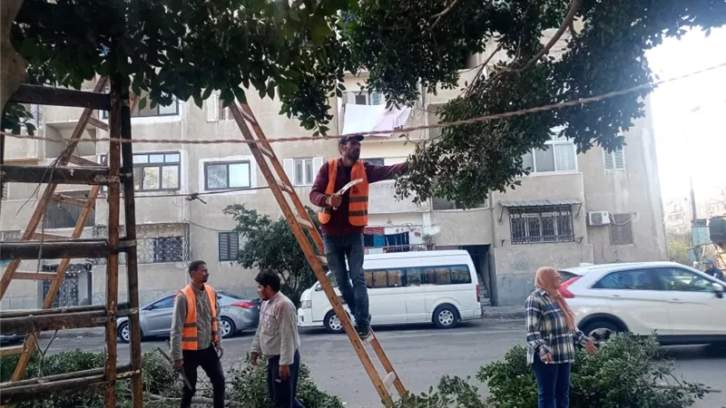 جهاز التطوير يواصل أعمال الصيانة والتجميل بمداخل ومخارج الإسماعيلية