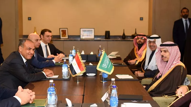 تصريح ناري من فريدة الشوباشي بشأن الأمن القومي المصري السعودي|فيديو