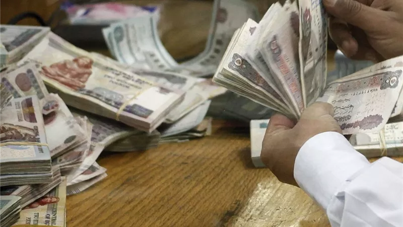 %26.6 زيادة في متوسط الأجور.. و«الإحصاء» يعلن القطاعات الأعلى أجرا