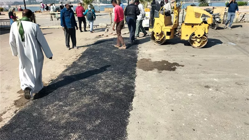 مواصلة تنفيذ حملات نظافة مكثفة وقص وتهذيب الأشجار بالأقصر