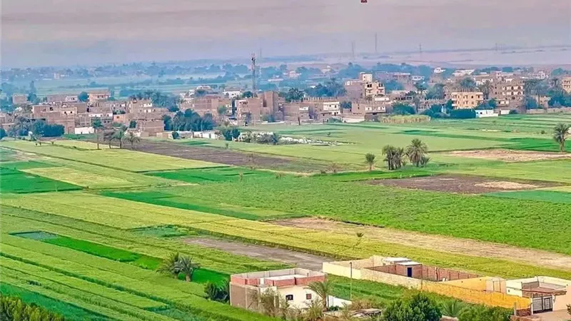 طقس الأقصر..  شديد البرودة صباحا ومساء ومائل للدفء نهاراً