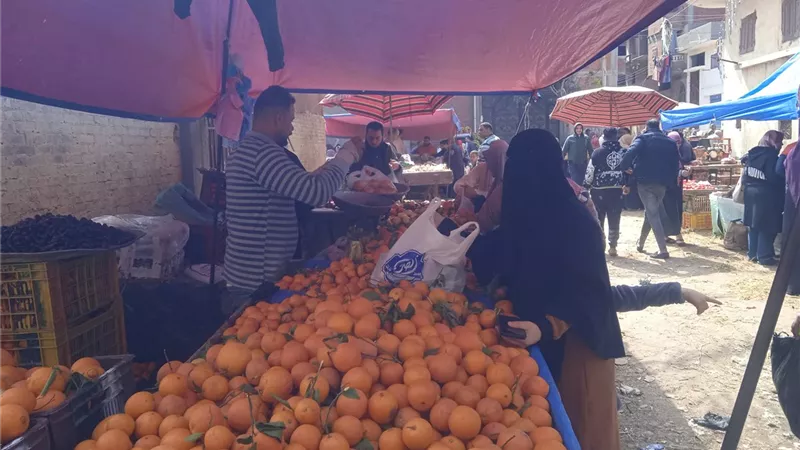 أسعار الخضراوات والفاكهة اليوم الأربعاء في محافظة كفر الشيخ 
