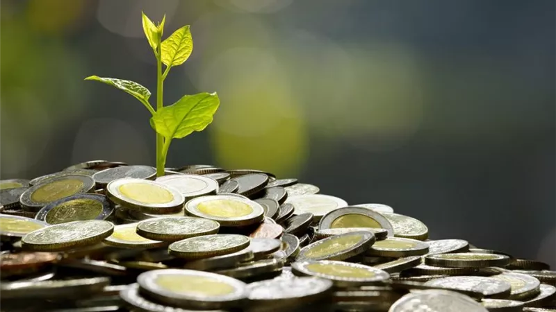 كيفية حساب الزكاة عن السنوات الماضية.. دار الإفتاء توضح 
