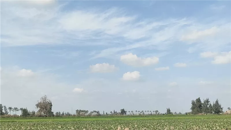 انخفاض ملحوظ في درجات الحرارة اليوم بالدقهلية