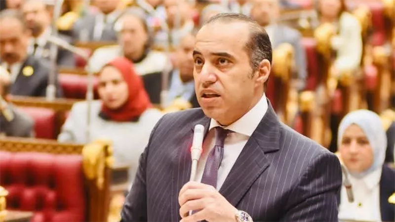 محمود فوزي: التغيير الوزاري حق مطلق للرئيس ولا يرتبط بالنصوص الدستورية