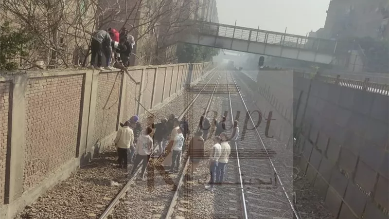 «ربنا سترها».. قائد قطار بخط الصعيد يوقفه قبل الاصطدام بشجرة|صور