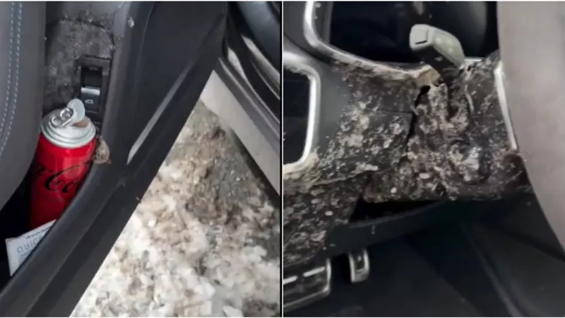 انفجار عبوة مشروب غازي يلحق أضرارا كبيرة بسيارة| فيديو
