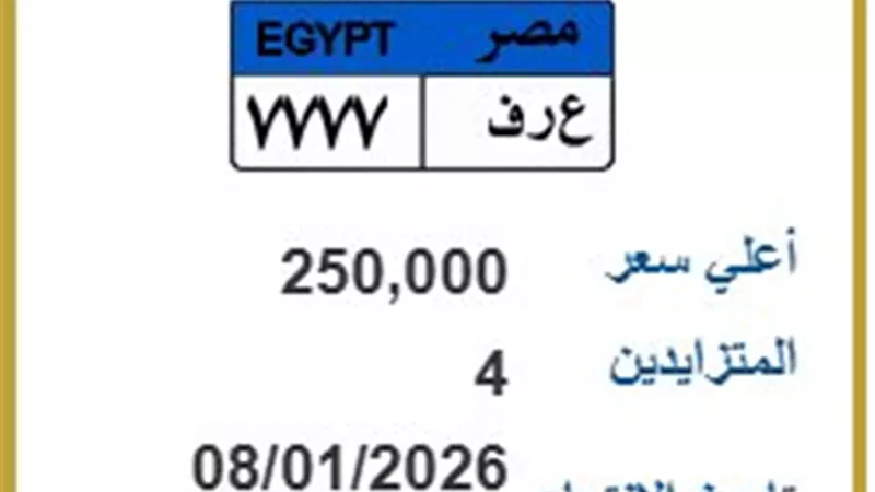 من 100 لـ 250 ألفاً.. منافسة شرسة على لوحة مرور مميزة إلكترونياً