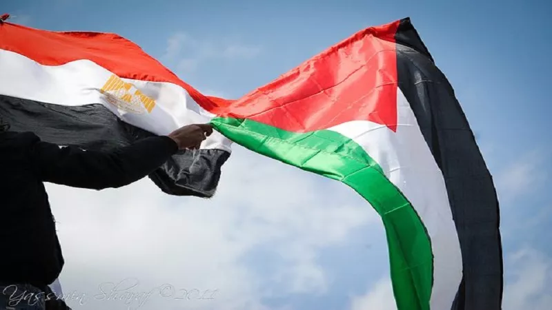 طارق البرديسي: مصر تقود حراكا دوليا لكسر حصار غزة والتهجير خط أحمر|فيديو