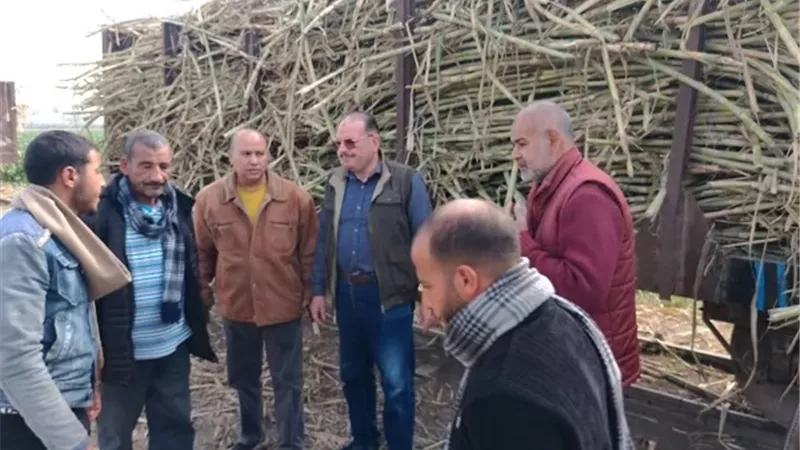 مدير «زراعة المنيا» يتفقد الزراعات الحديثة بأبو قرقاص وسمالوط ومطاي