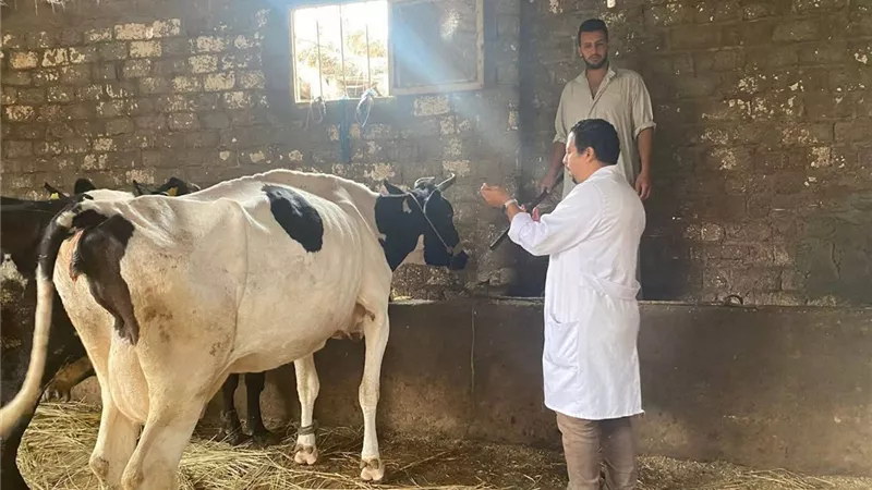 انطلاق الحملة القومية ضد الحمى القلاعية بدمياط الأحد