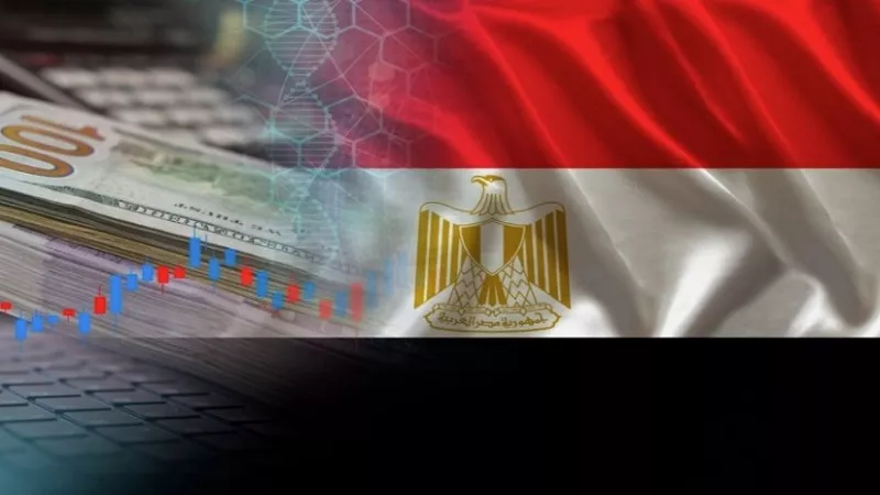 محمود عنبر: الدولة تتبنى استراتيجية لتحويل الاقتصاد إلى رقمي شامل|فيديو