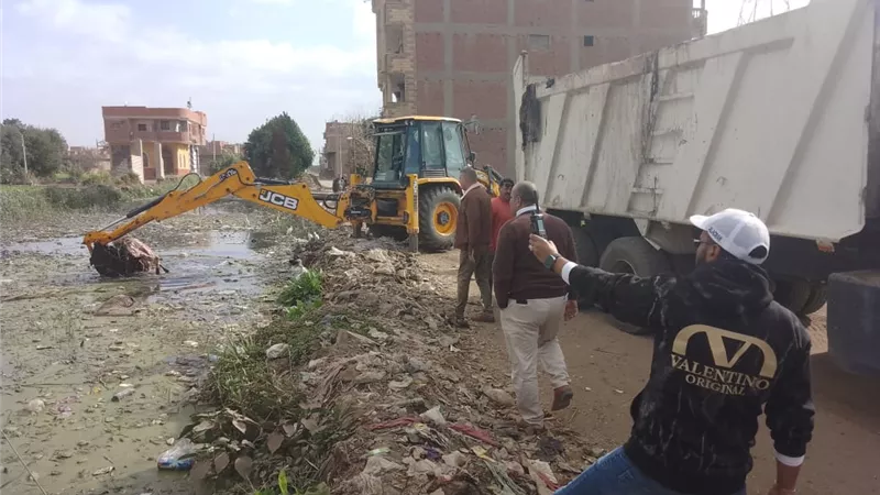 محافظ القليوبية يوجه برفع حيوانات نافقة من مصرف بالقناطر الخيرية