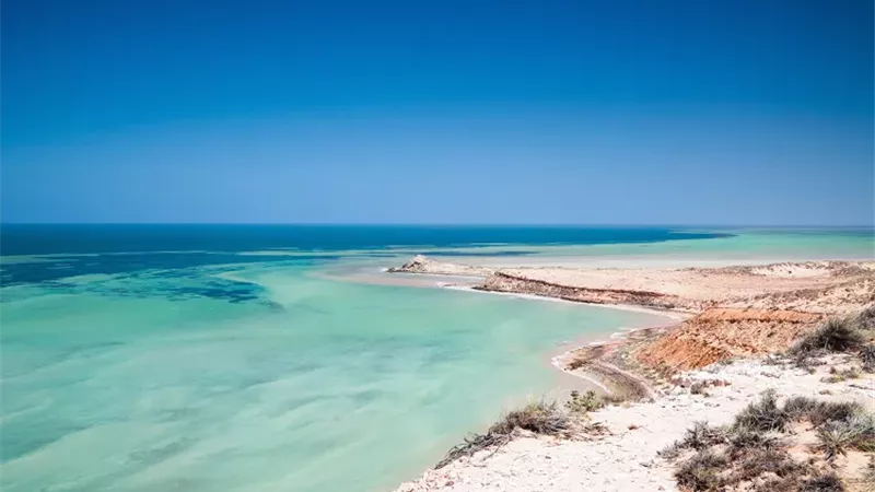 شيء غير متوقع.. رجل يعثر على خزنة في قاع المحيط| فيديو